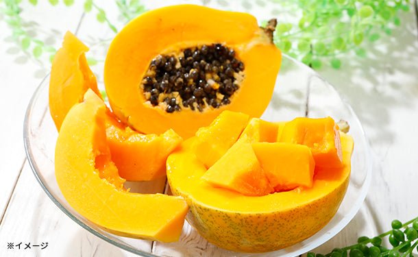 main01-2023-11-06T162655.443