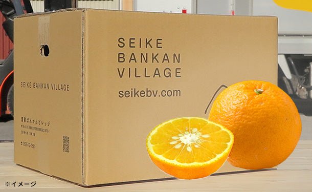 main01-2024-03-04T105238.110_ea24e3f0-1ae8-4c33-b506-cdd4436081a0