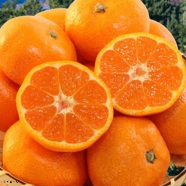 main01_60_eaef2c63-b757-457e-8e4c-0cd881b7b813